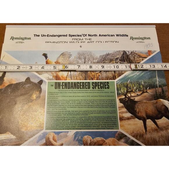 Vintage 1985 Remington DuPont Calendar Wildlife and Hunting Memorabilia - Picture 5 of 7